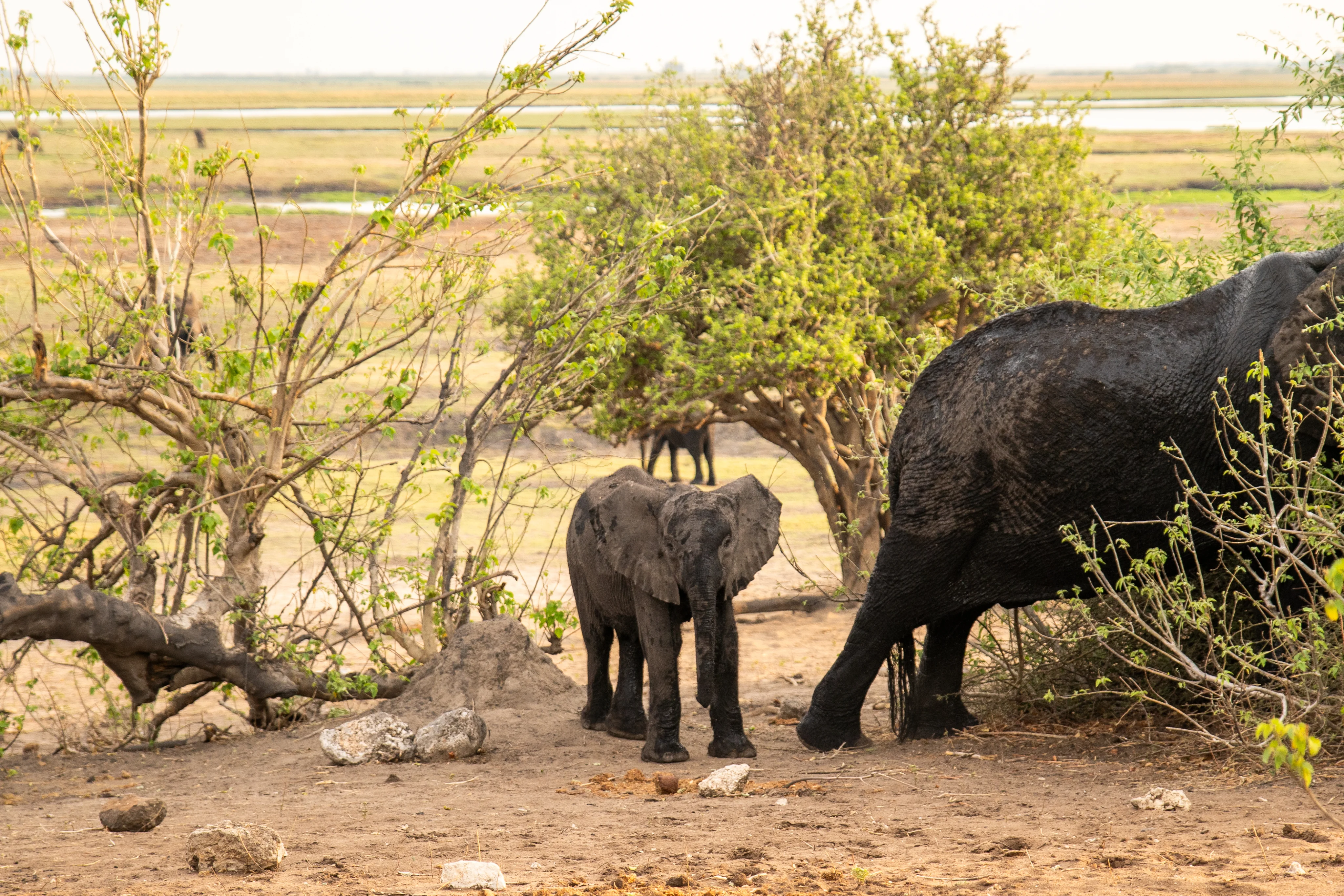 Cresta Lodge Harare Attraction