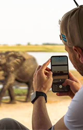 Safari & Nature