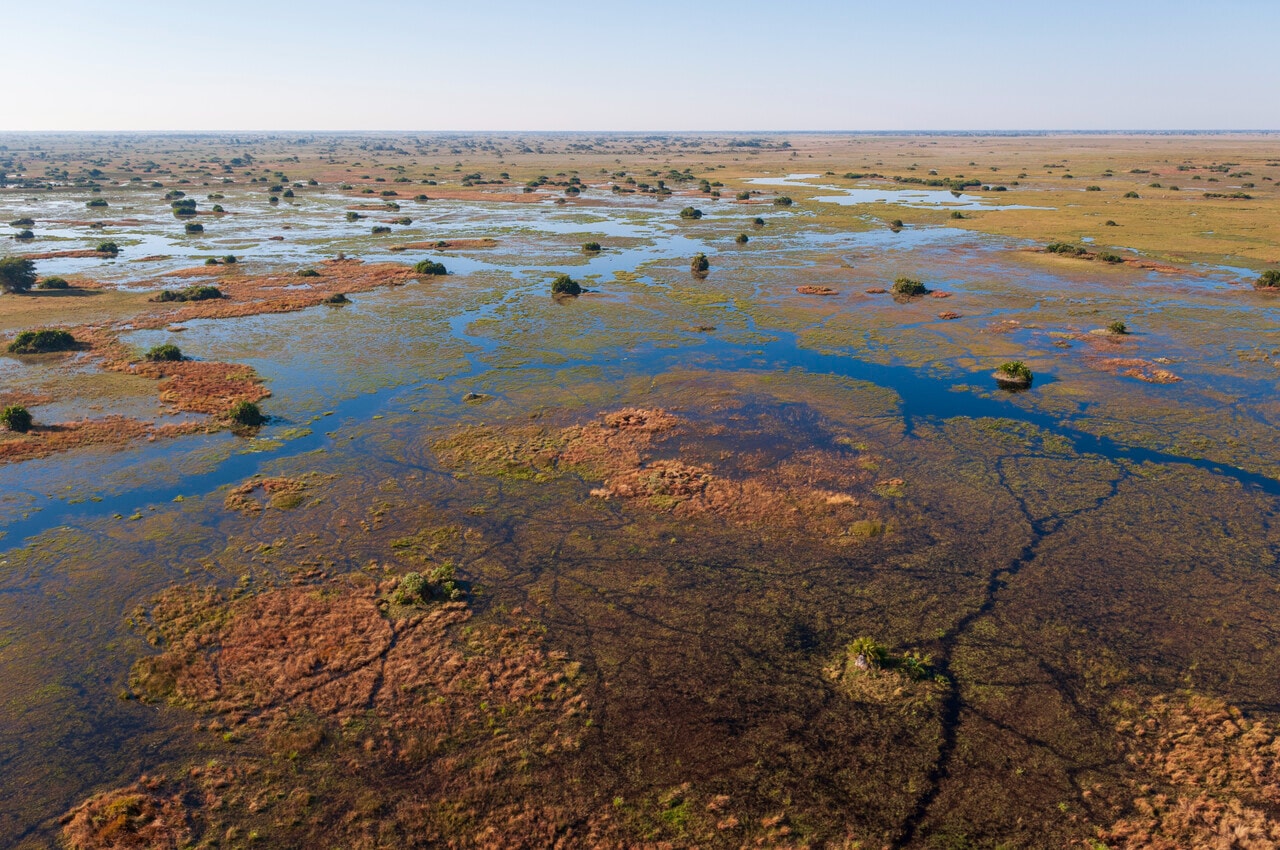 aerial-view-of-a-lush-wetland-ecosystem-at-sunrise