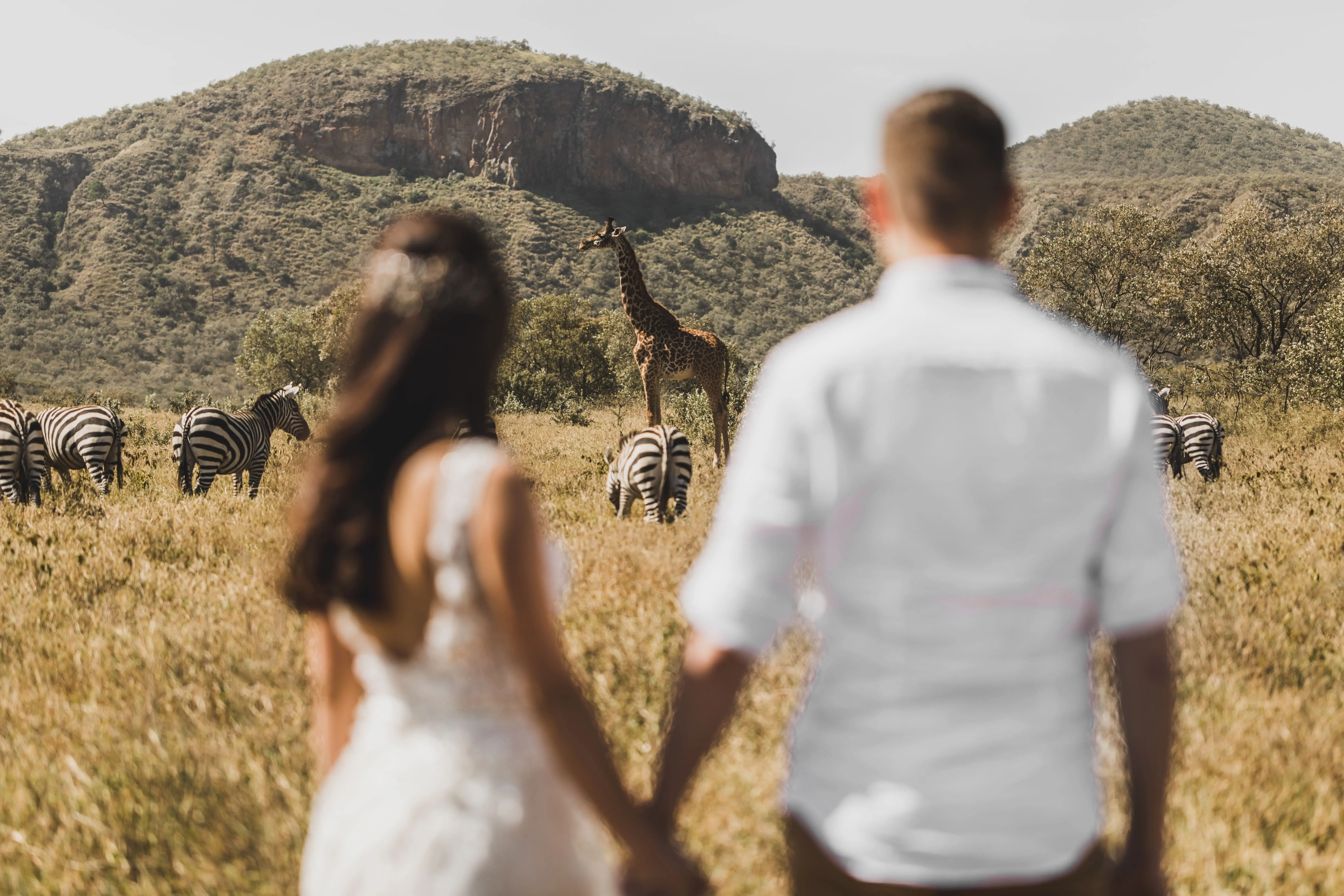 safari wedding