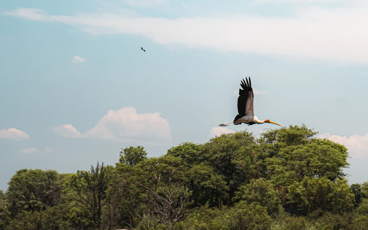 Francistown Attractions