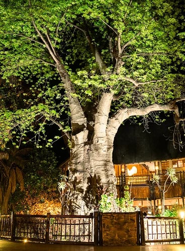The KuMuzi Boma