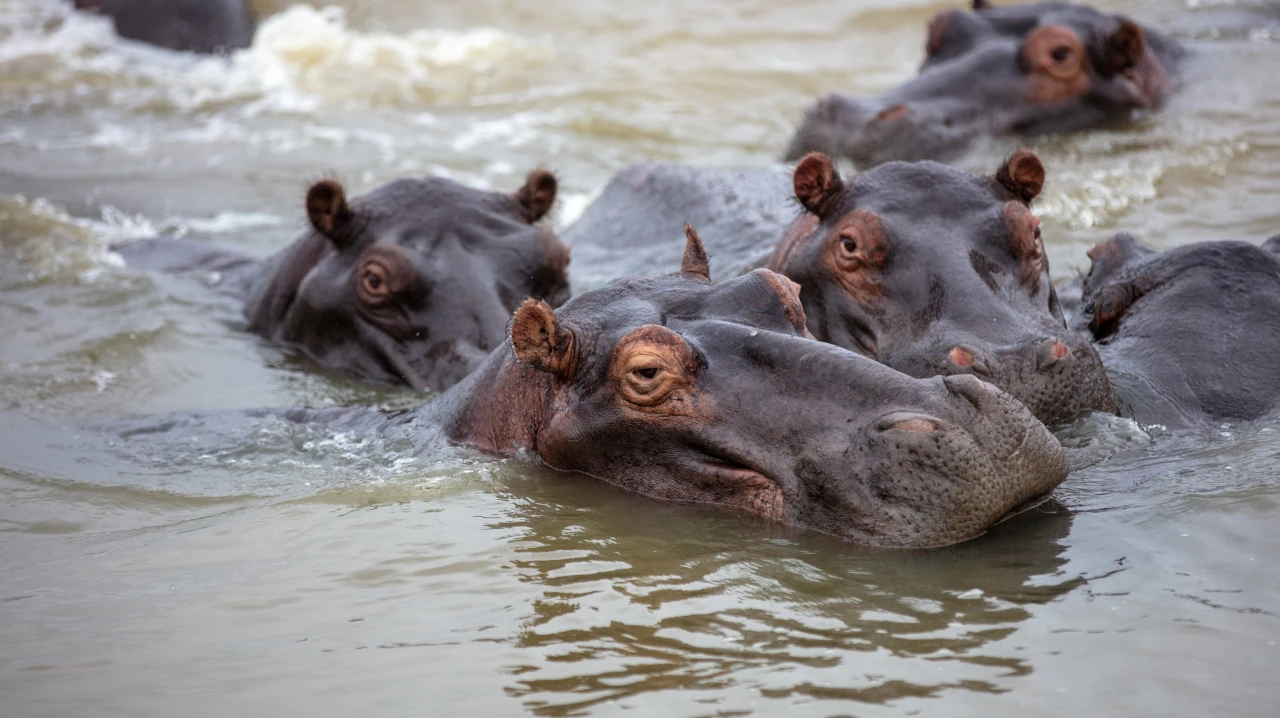 Maun Attractions