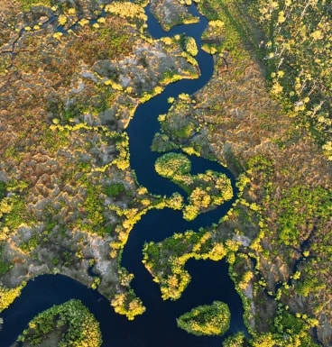 Ready to hear the call of the Okavango Delta?