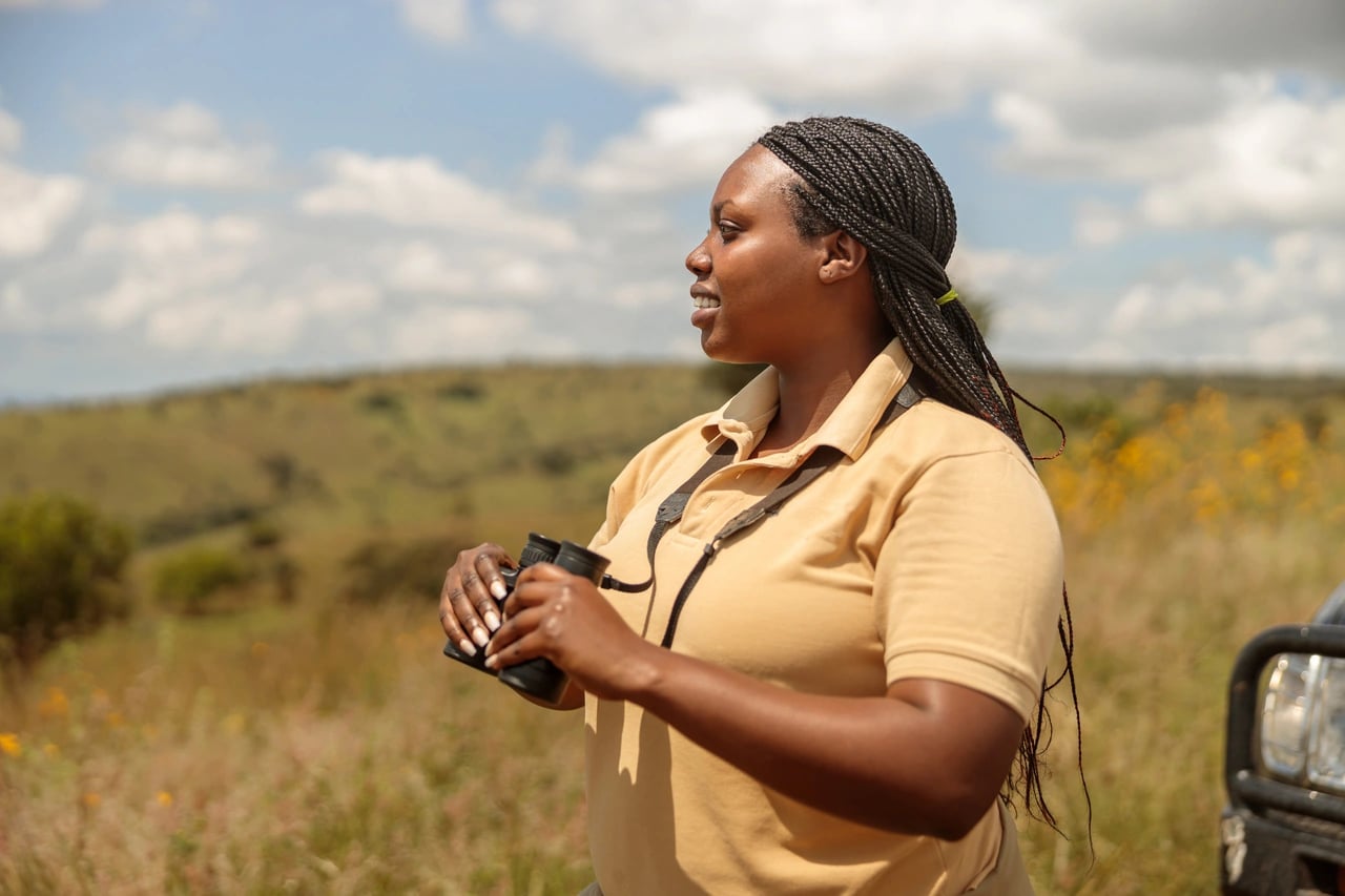 The Safari Road Trip Explorer